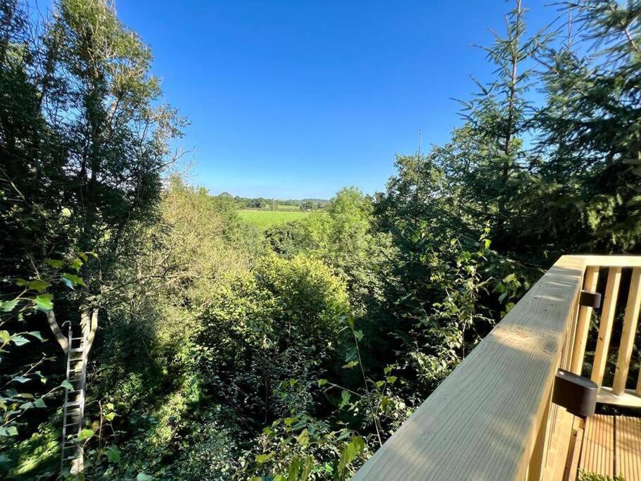 The Pines Treehouse At Treetops Hideouts Richmond  Exterior photo