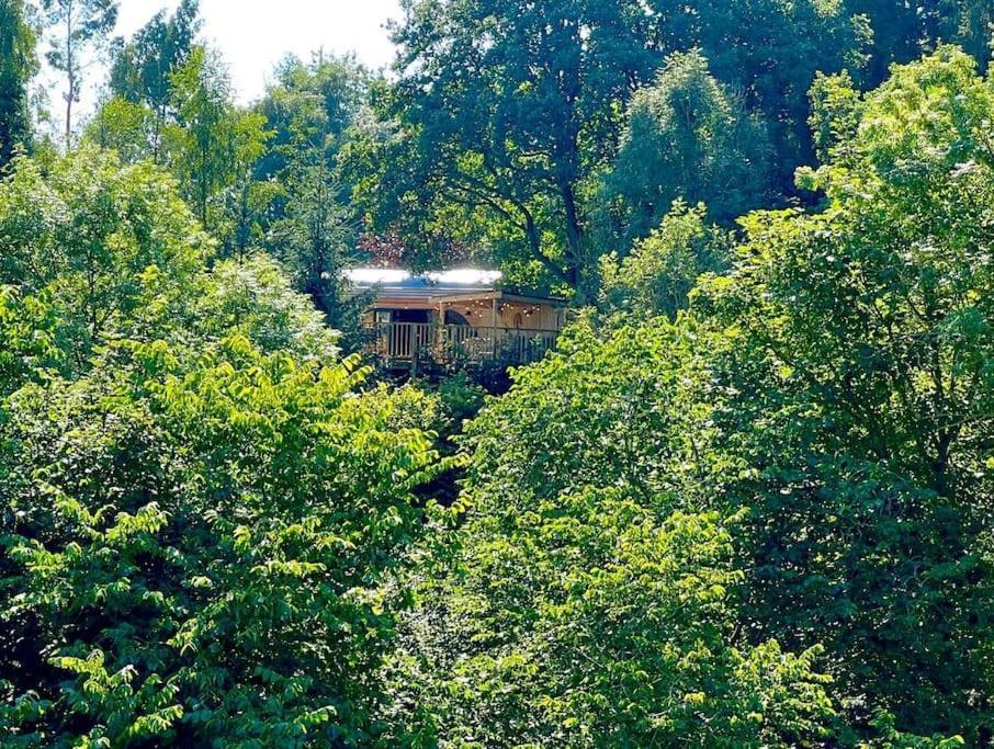 The Pines Treehouse At Treetops Hideouts Richmond  Exterior photo